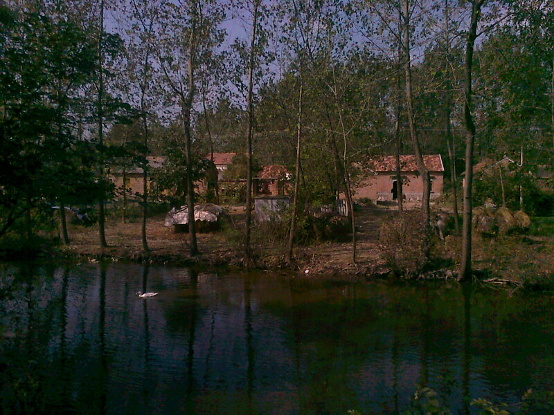 Ƭ0235.jpg