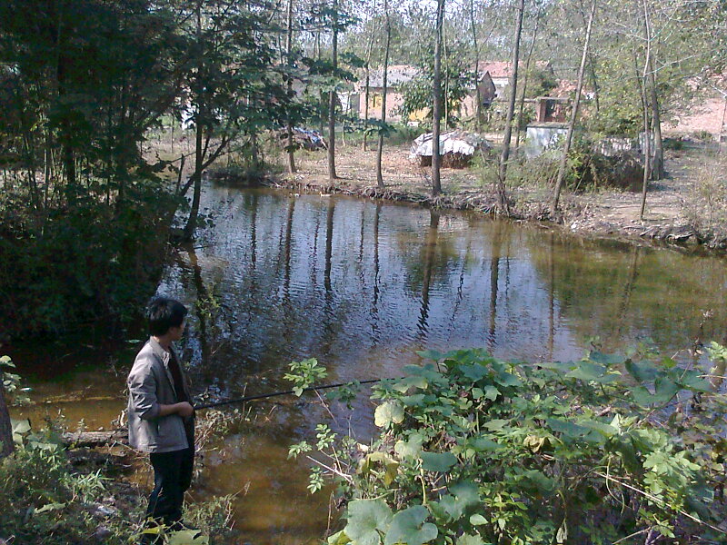 Ƭ0236.jpg