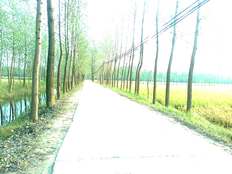 Ƭ0238.jpg
