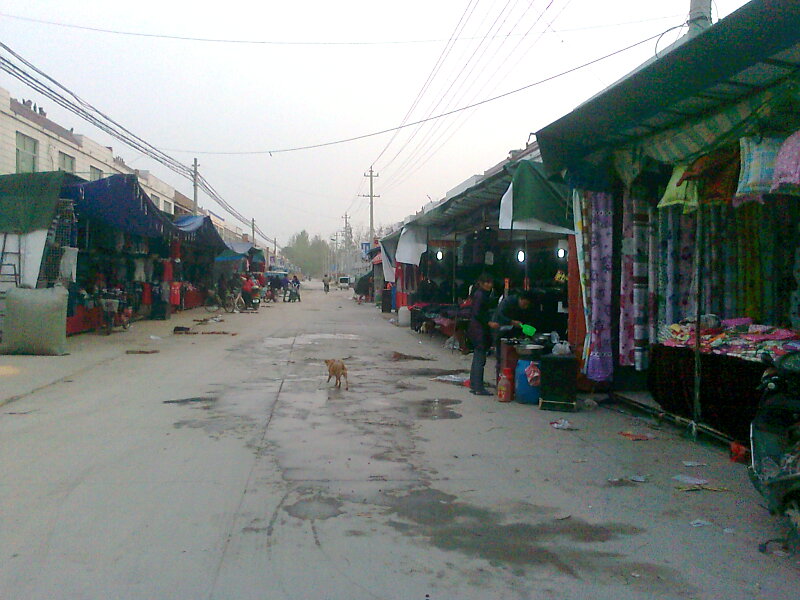 Ƭ0241.jpg