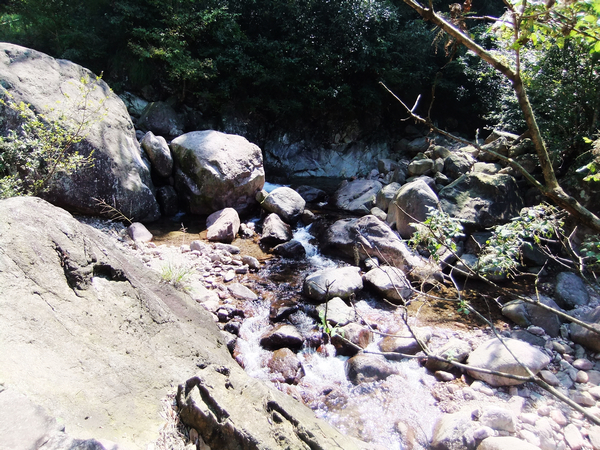 DSCF0535.jpg