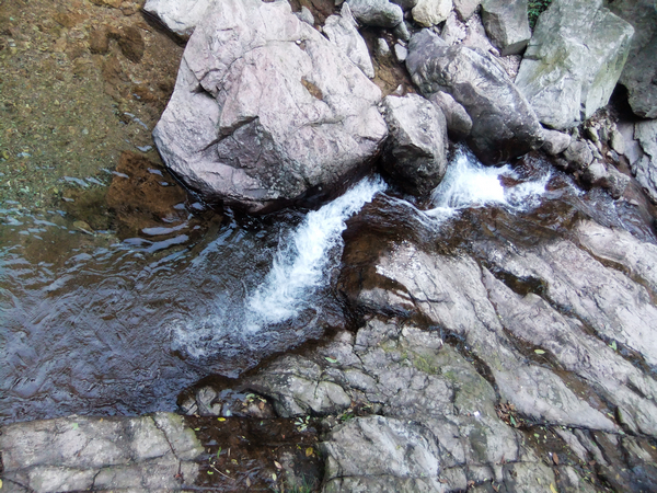DSCF0547.jpg