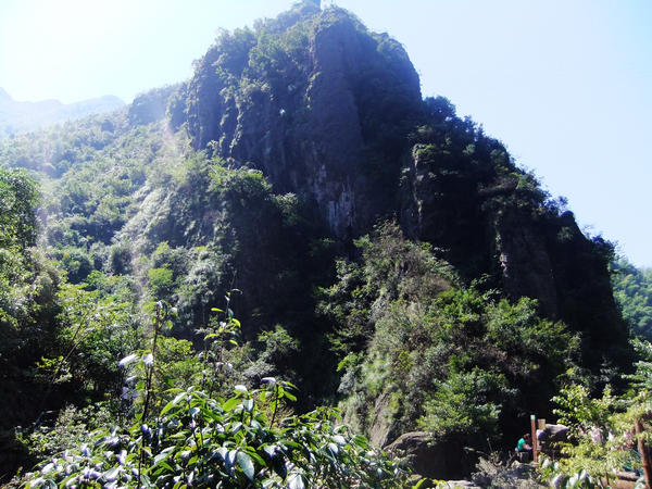 DSCF0551.jpg