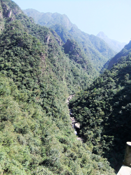 DSCF0637.jpg