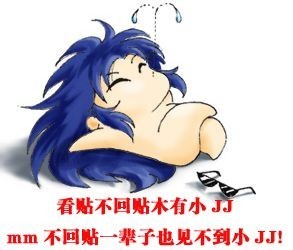381.jpg