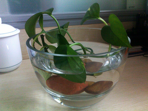 20101112209.jpg