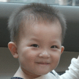 78304.gif
