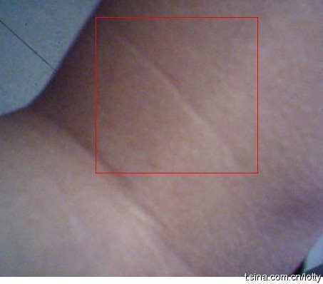 20100707_db6b89ff5de54d51e0f6zpWA5tbySXSS.jpg