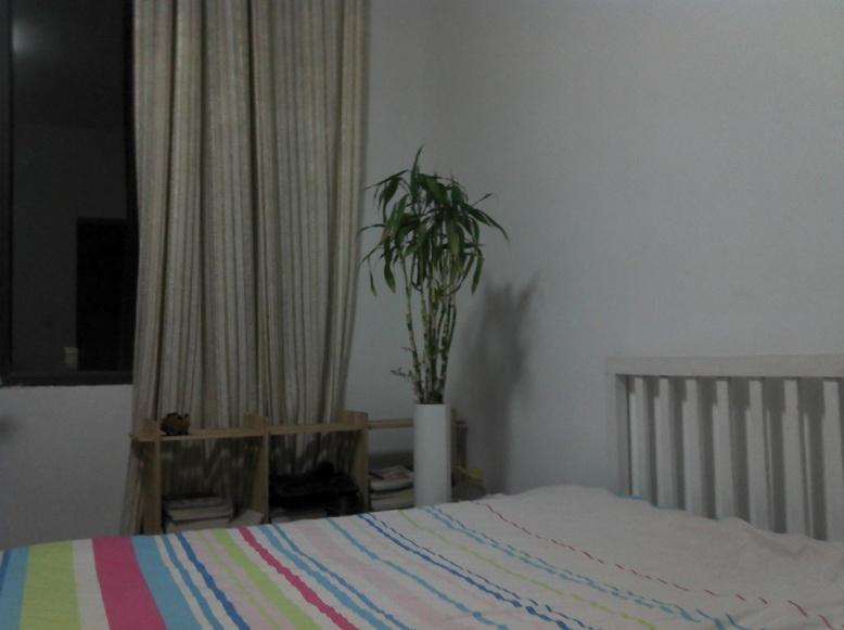 2011-03-08_20-25-07_780.jpg