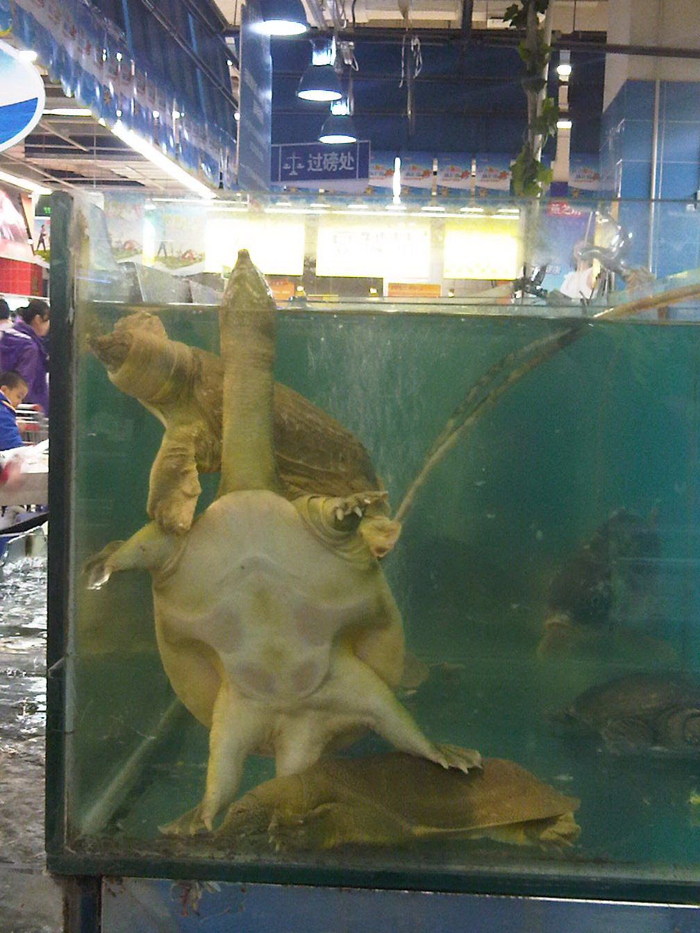 IMG00131-20110402-1924.jpg