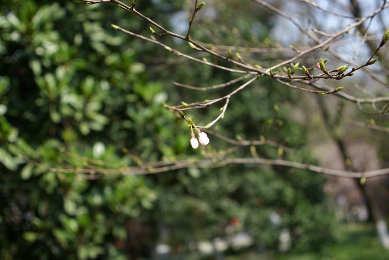 middle_20110414_51da4b804d051003aa9fyL5QBHqDnJwY[1].jpg