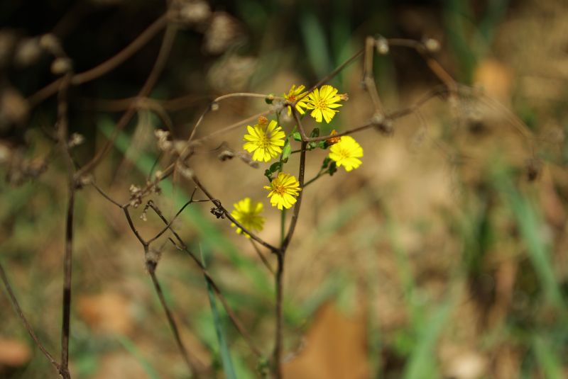 middle_20110414_7504be603b40c1892e6bIcN9YAWNmz2O[1].jpg