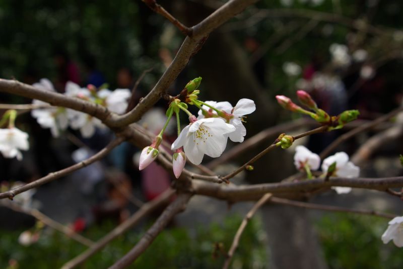 middle_20110414_db53c8af296379d5acdcXhBdNp5bj2o8[1].jpg