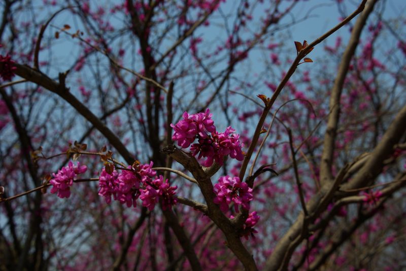 middle_20110414_444a3f0a6bcbdc62138fC3jVRXOpf7ov[1].jpg