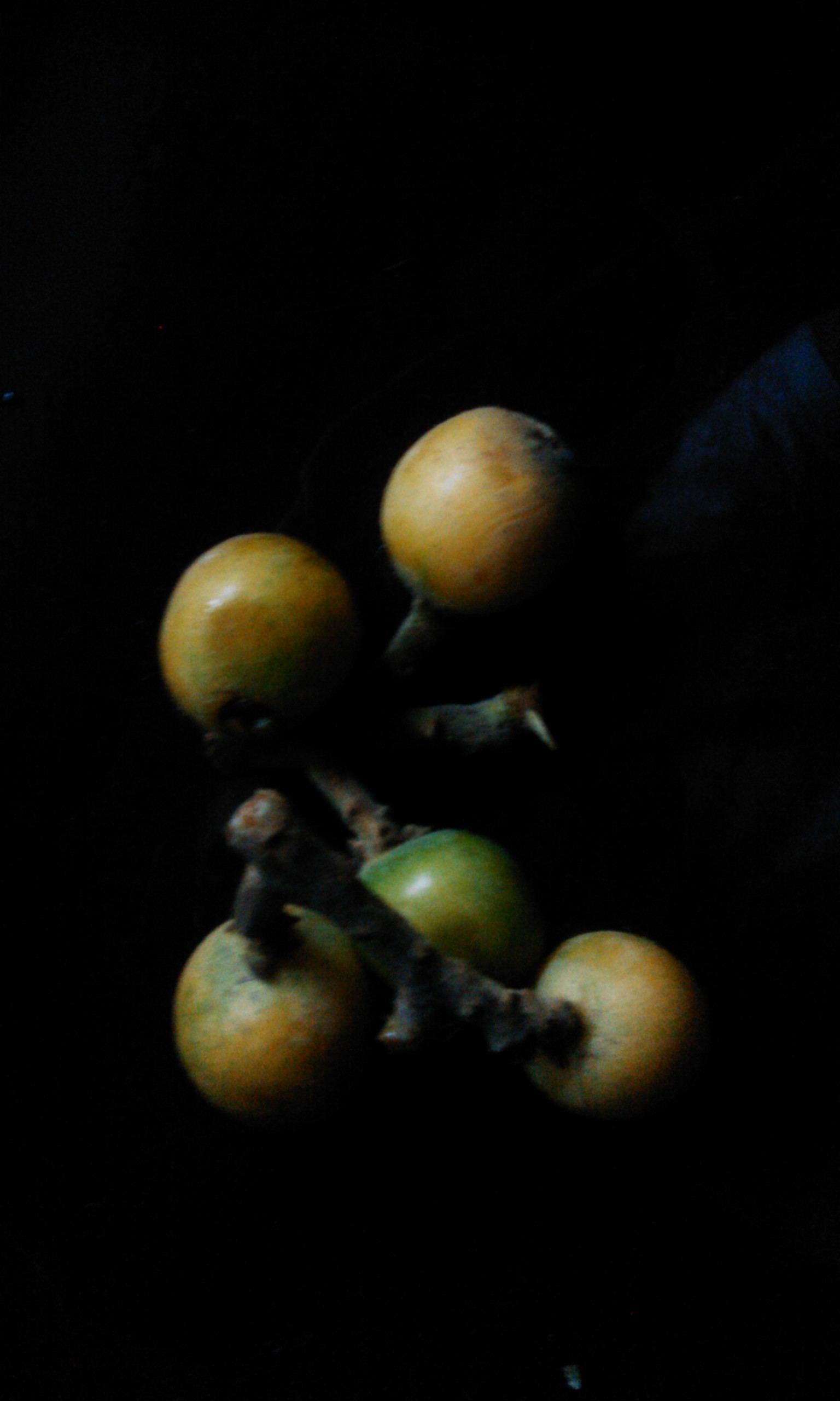 IMG_20110511_184331.jpg