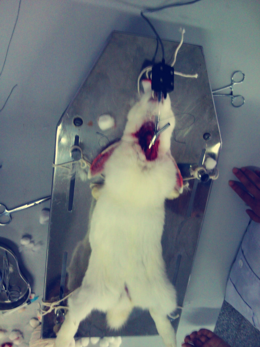 DSC00287_meitu_1.jpg