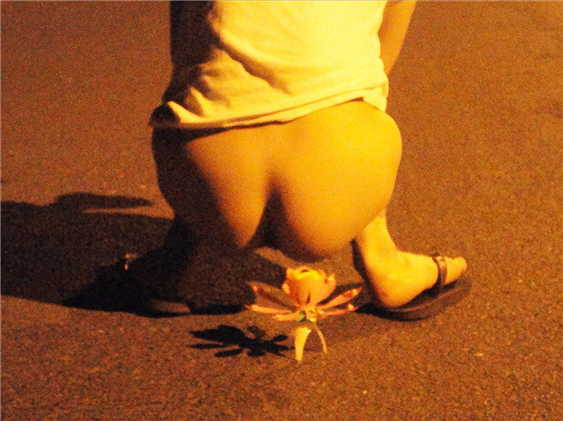DSC04381_.jpg