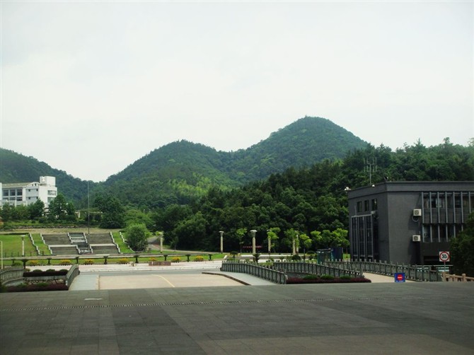 1010.jpg