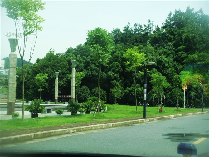 66.jpg