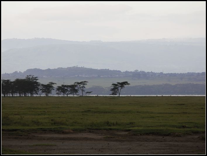 2011728-815 278.jpg