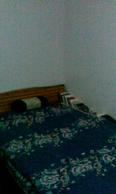IMG0619A.jpg