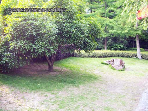 DCAM0014.jpg