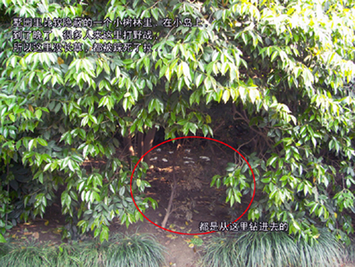 DCAM0007.jpg