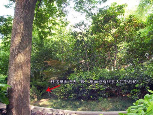 DCAM0001.jpg