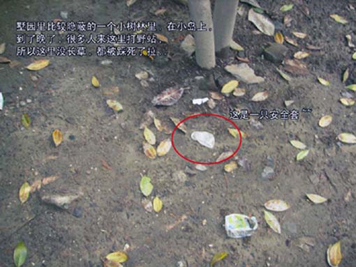 DCAM0005.jpg